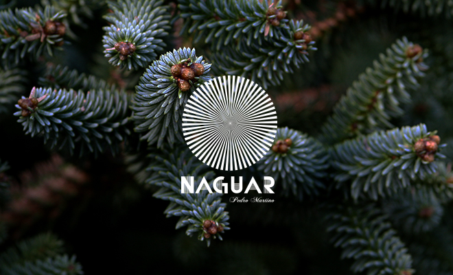 Menú Nochevieja 2013, celebra la entrada del año en Naguar